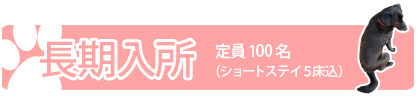 長期入所
